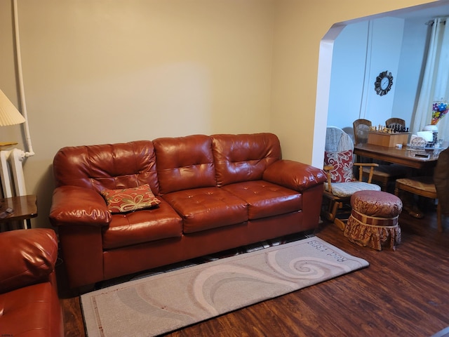 living room featuring hardwood / wood-style flooring