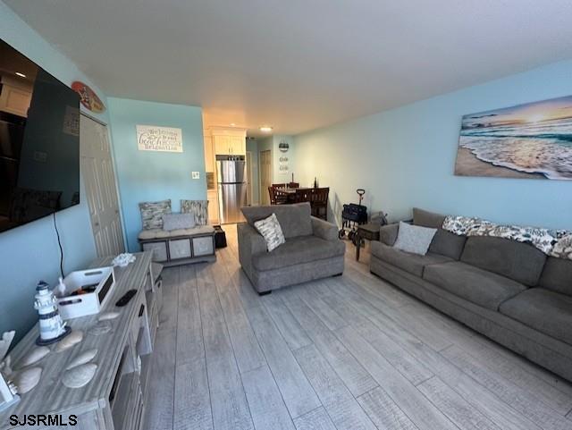 living room featuring light hardwood / wood-style flooring