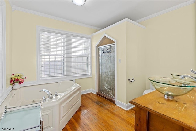 bathroom featuring crown molding, vanity, and hardwood / wood-style flooring