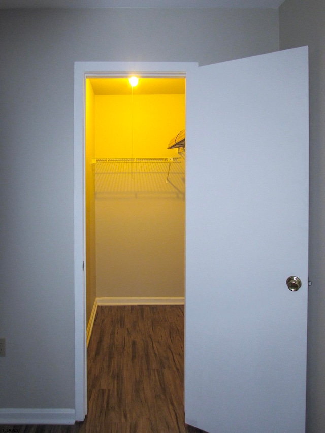 walk in closet with dark wood-type flooring