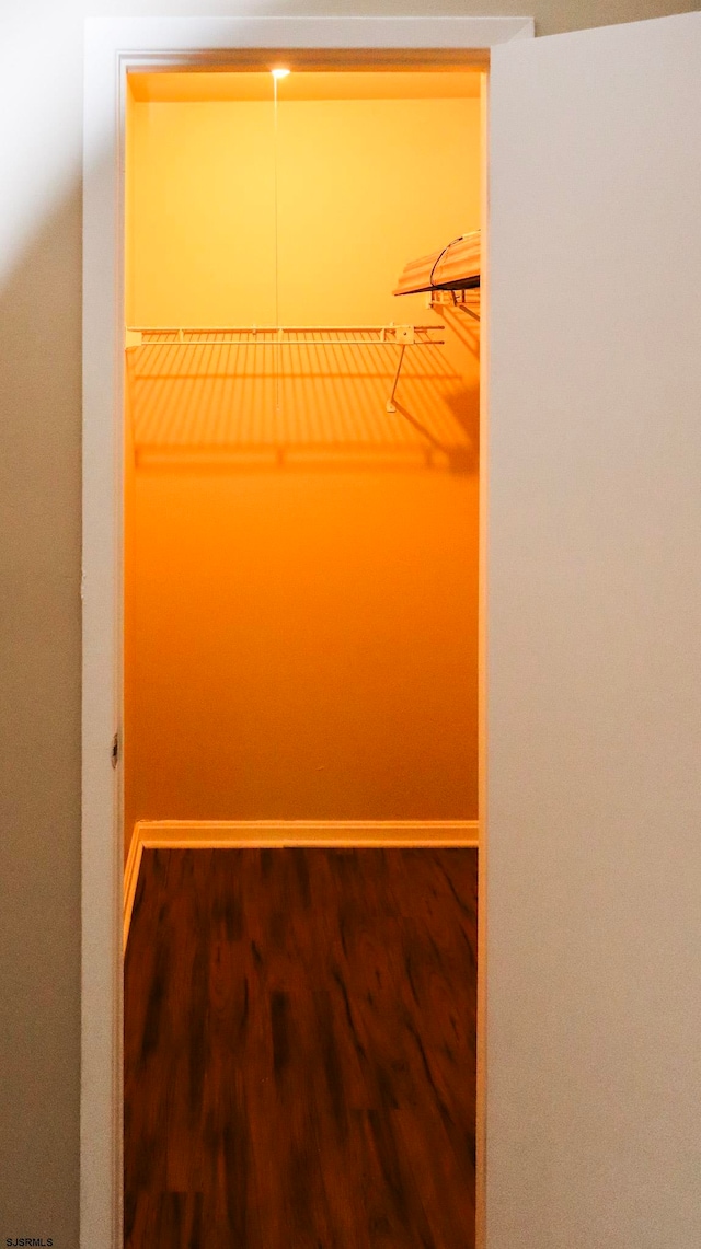 spacious closet with hardwood / wood-style flooring