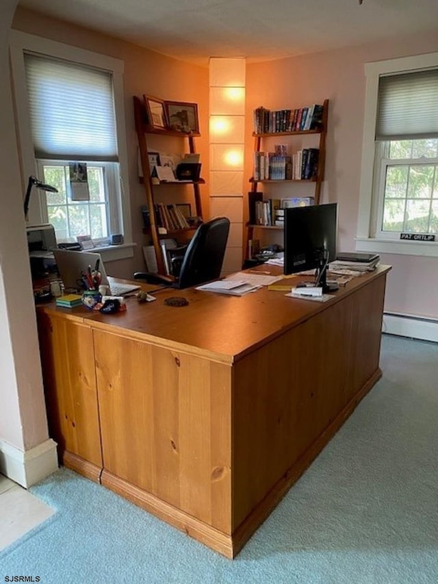 carpeted office space with a wealth of natural light and a baseboard heating unit