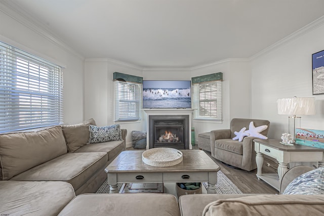 living room featuring wood-type flooring and ornamental molding