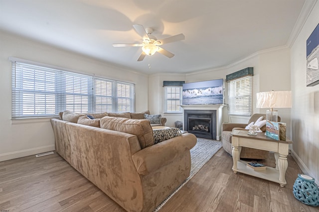 living room featuring hardwood / wood-style flooring, ceiling fan, and ornamental molding