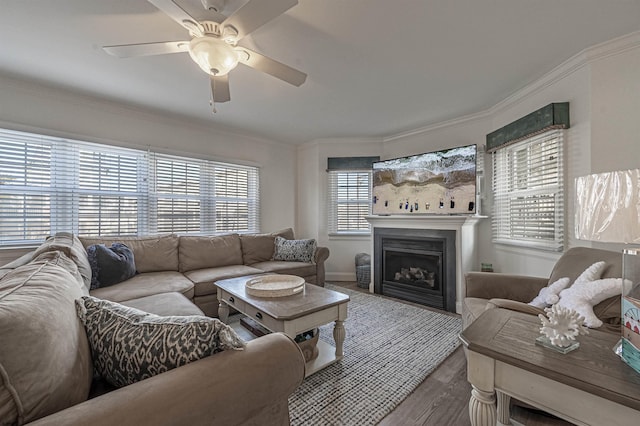 living room featuring crown molding, ceiling fan, a healthy amount of sunlight, and hardwood / wood-style flooring