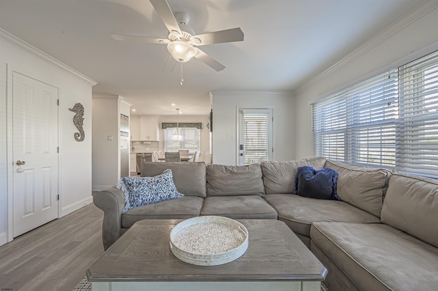 living room featuring hardwood / wood-style flooring, ceiling fan, and ornamental molding