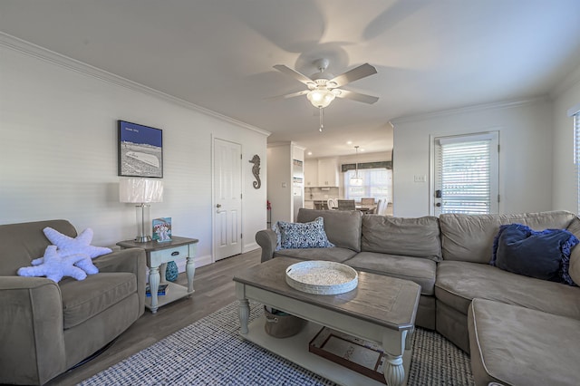 living room with ceiling fan, dark wood-type flooring, and ornamental molding