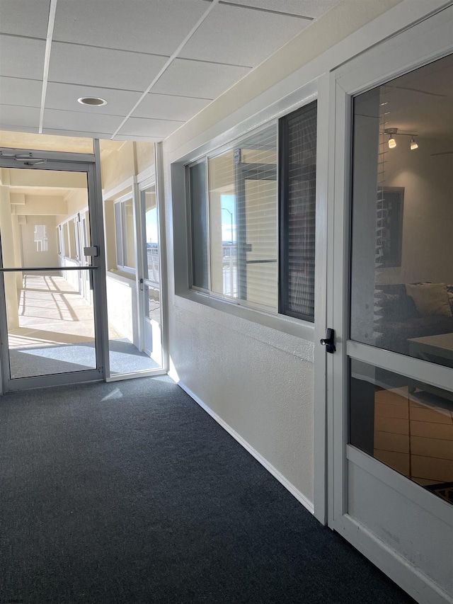 hall featuring carpet flooring and plenty of natural light