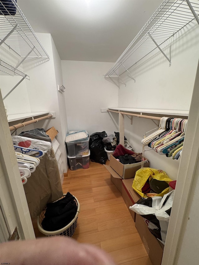 walk in closet with hardwood / wood-style flooring