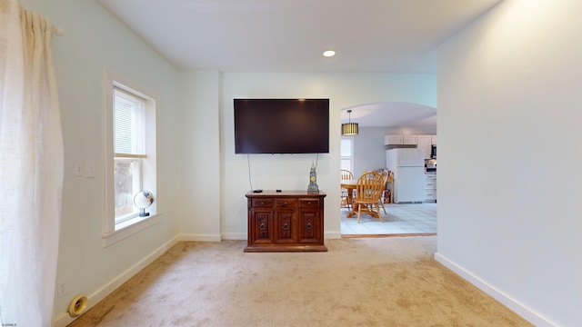 carpeted living room featuring a healthy amount of sunlight