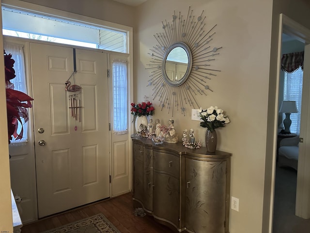 foyer entrance featuring dark hardwood / wood-style flooring