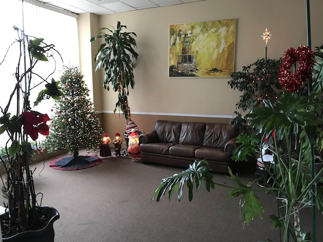 living room featuring carpet flooring and a paneled ceiling