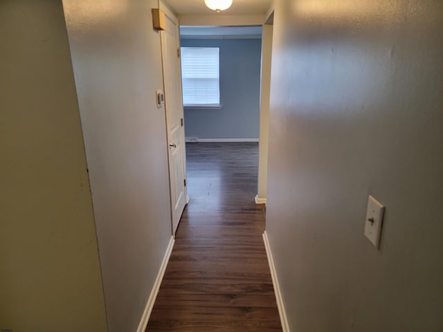 hallway featuring dark wood-type flooring