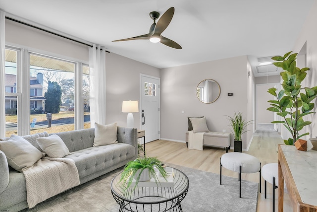 living room with ceiling fan and light hardwood / wood-style flooring