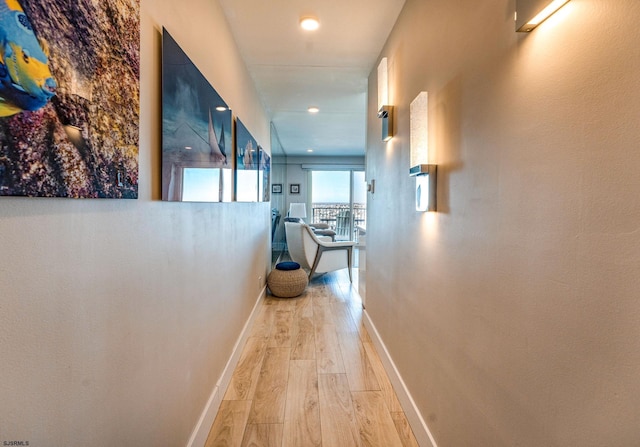 hall featuring hardwood / wood-style flooring