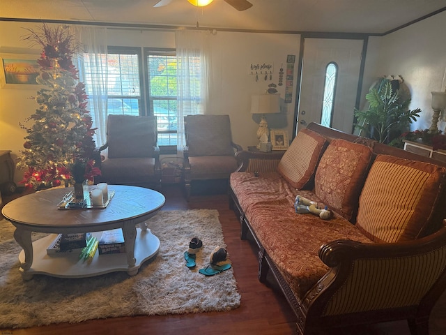 living room featuring ceiling fan and dark hardwood / wood-style flooring