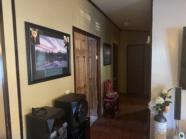 hall with dark hardwood / wood-style flooring