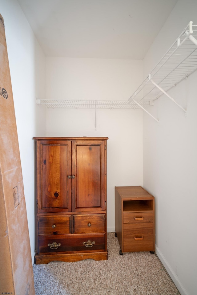 walk in closet with light carpet