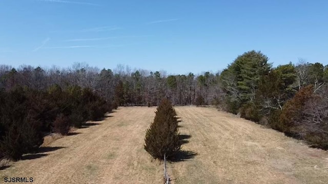 view of local wilderness with a rural view