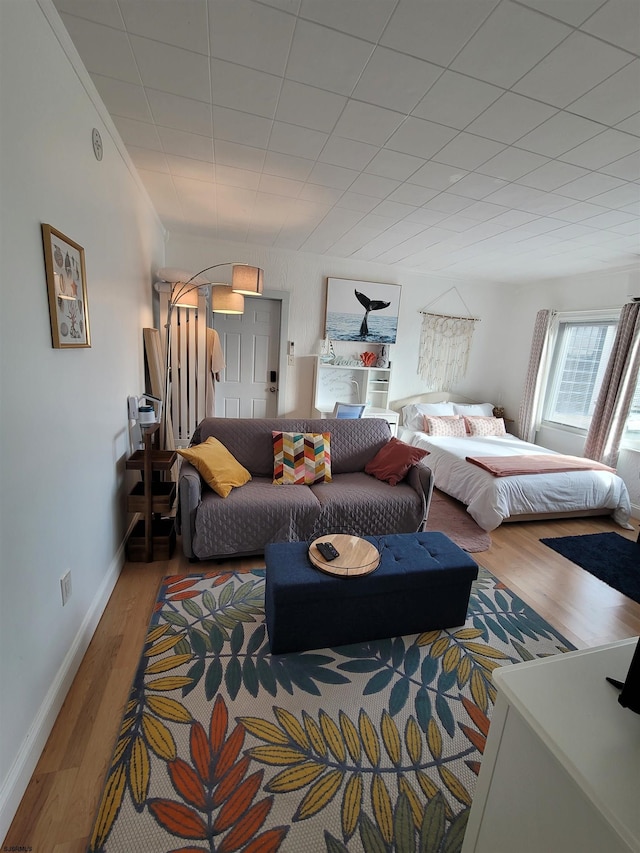 bedroom featuring wood-type flooring