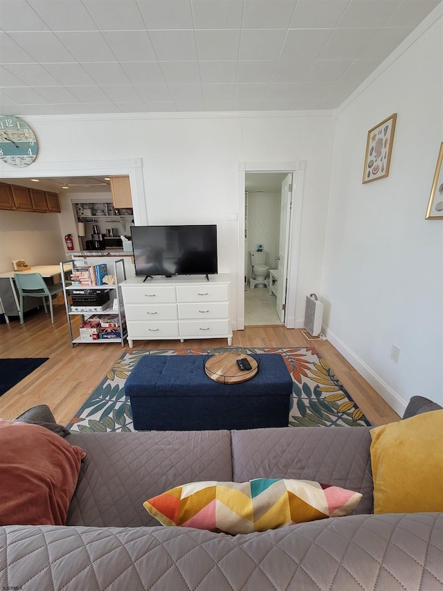 living room featuring wood-type flooring and ornamental molding