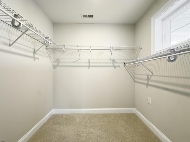 spacious closet featuring carpet