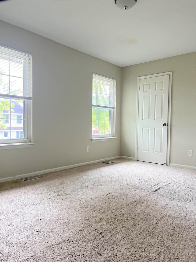 empty room with carpet flooring and a wealth of natural light