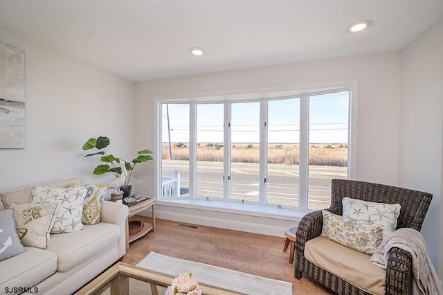 living room with hardwood / wood-style flooring and a healthy amount of sunlight