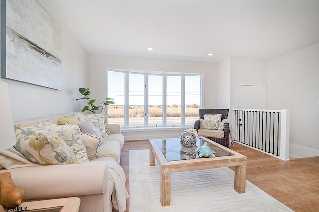 living room with hardwood / wood-style floors