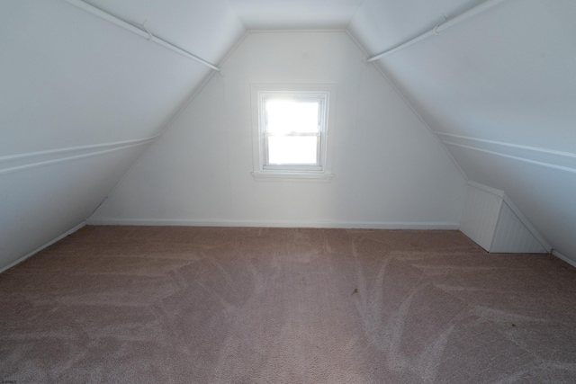 additional living space with carpet floors and lofted ceiling