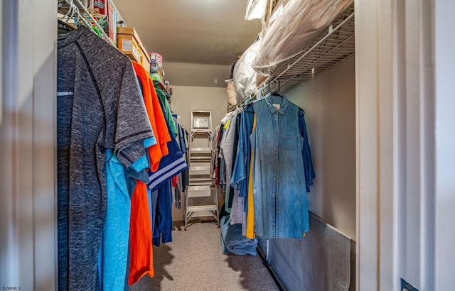 spacious closet with carpet floors