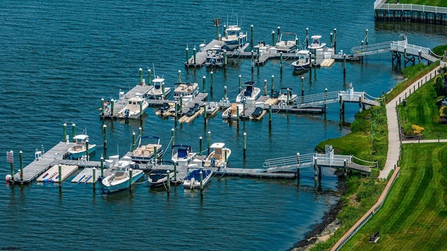 dock area with a water view