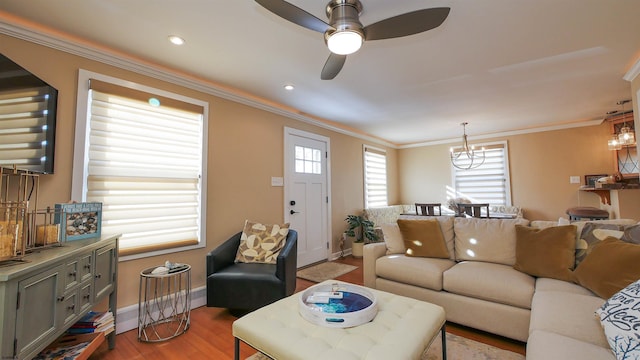 living room with ceiling fan with notable chandelier, light wood-type flooring, and ornamental molding