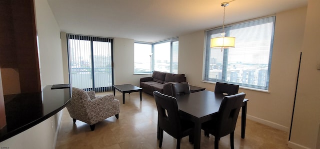 dining room featuring a healthy amount of sunlight