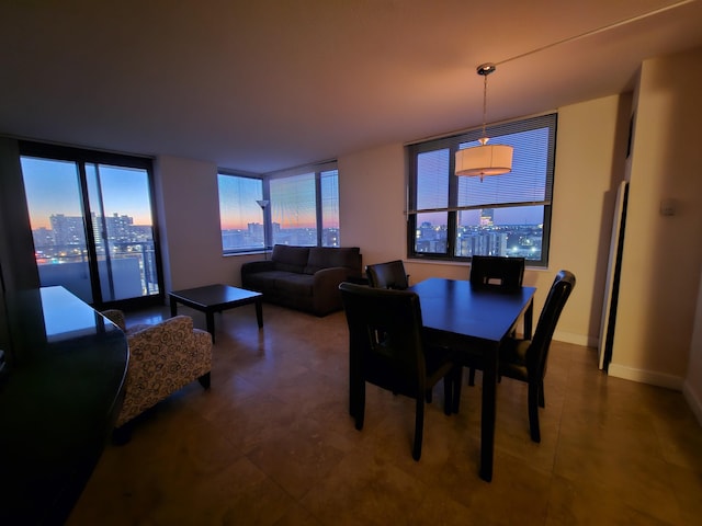 dining area featuring a wealth of natural light