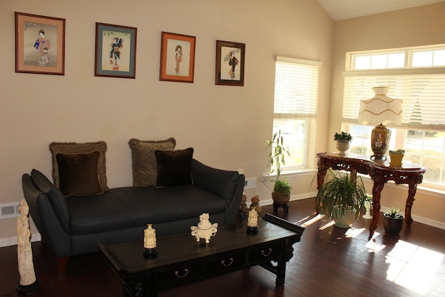 living room with lofted ceiling, hardwood / wood-style floors, and plenty of natural light