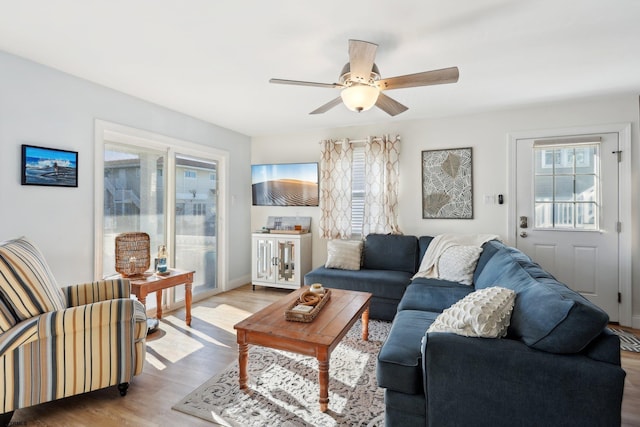 living room featuring ceiling fan and light hardwood / wood-style floors