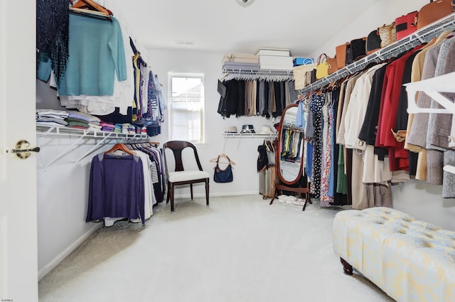 spacious closet featuring carpet flooring