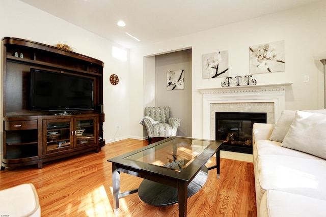 living room with hardwood / wood-style flooring