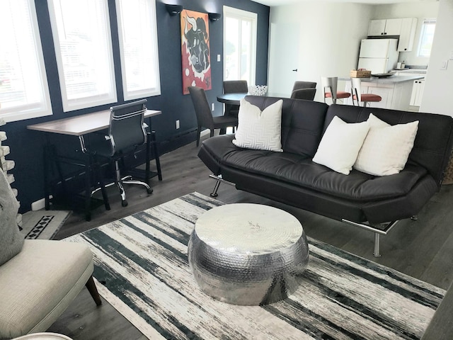 living room with dark hardwood / wood-style floors