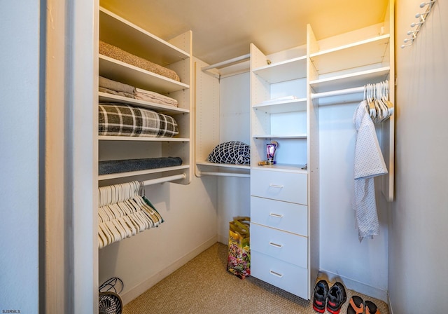 spacious closet featuring light carpet