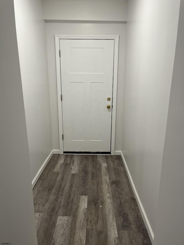 entryway featuring dark wood-type flooring