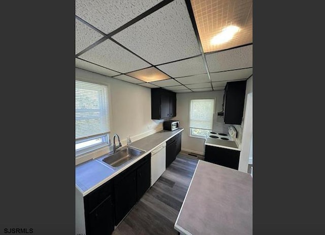 kitchen featuring dishwasher, sink, a drop ceiling, and dark hardwood / wood-style floors