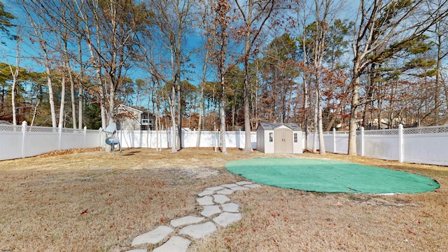 view of yard with a shed