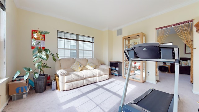 exercise area featuring ornamental molding and carpet