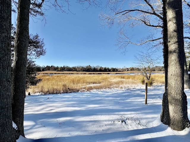 view of yard featuring a rural view