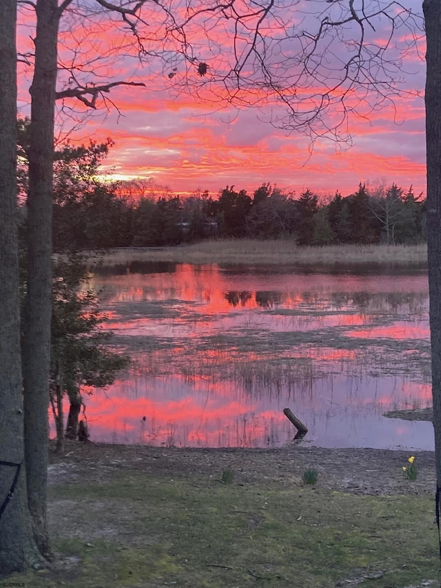 property view of water