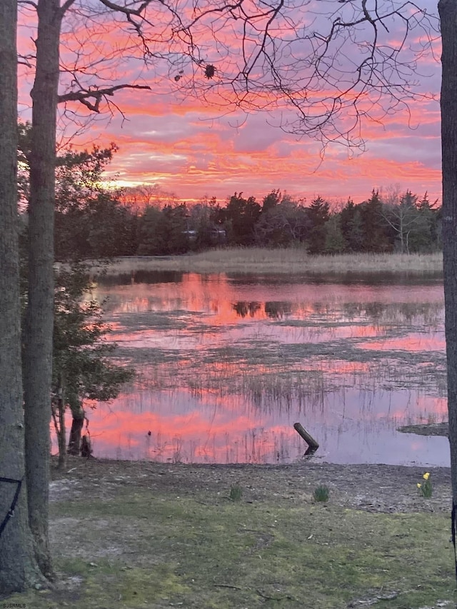 property view of water