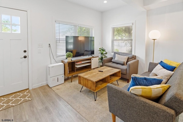 living room with plenty of natural light and light hardwood / wood-style floors