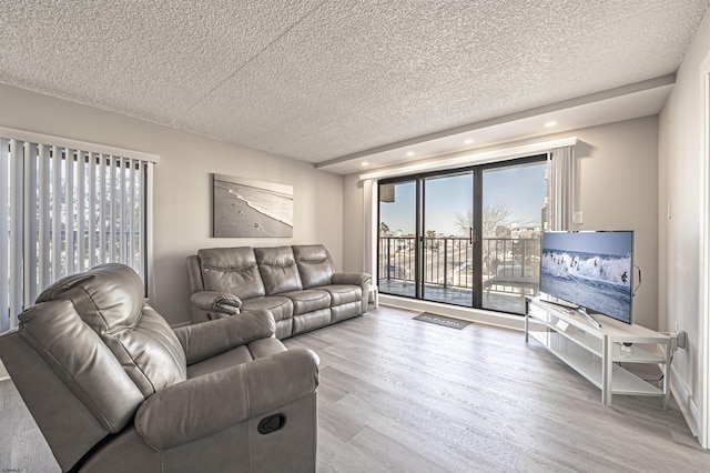 living room featuring light hardwood / wood-style floors, plenty of natural light, and a textured ceiling